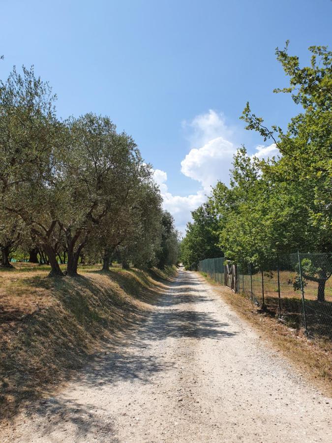 Tavarnelle Val di PesaSweet In Chianti别墅 外观 照片