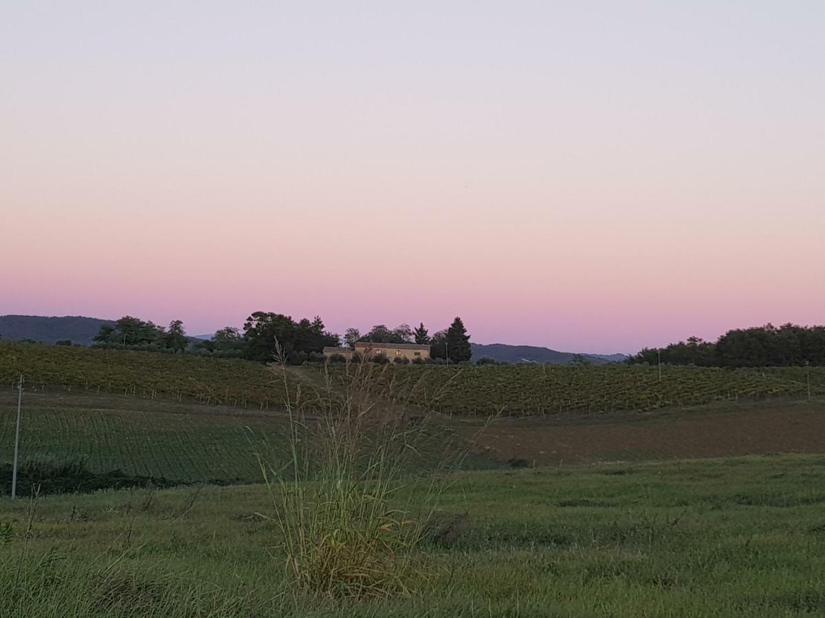 Tavarnelle Val di PesaSweet In Chianti别墅 外观 照片
